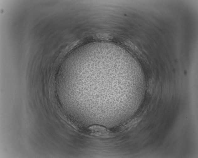 X0000084031201200703022114