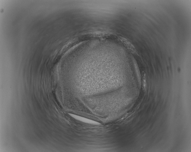 X0000084031204200703022114