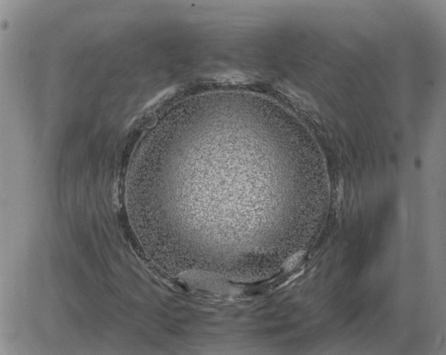 X0000084031205200703022114