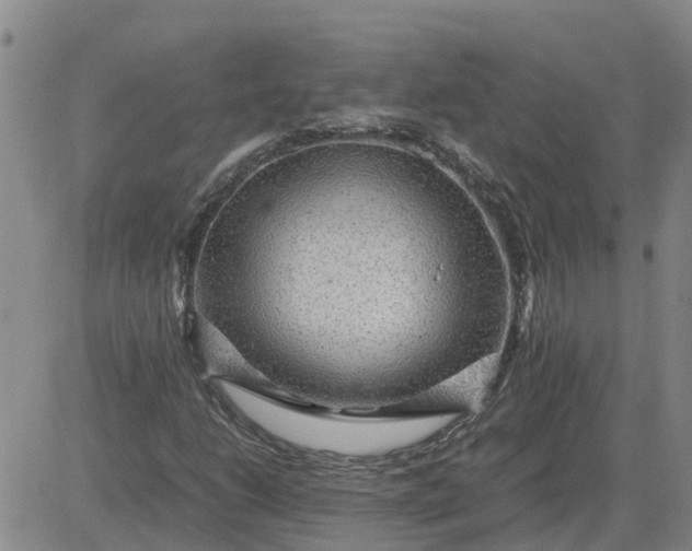 X0000084031206200703022114