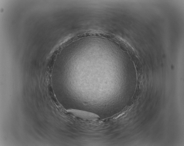 X0000084031207200703022114