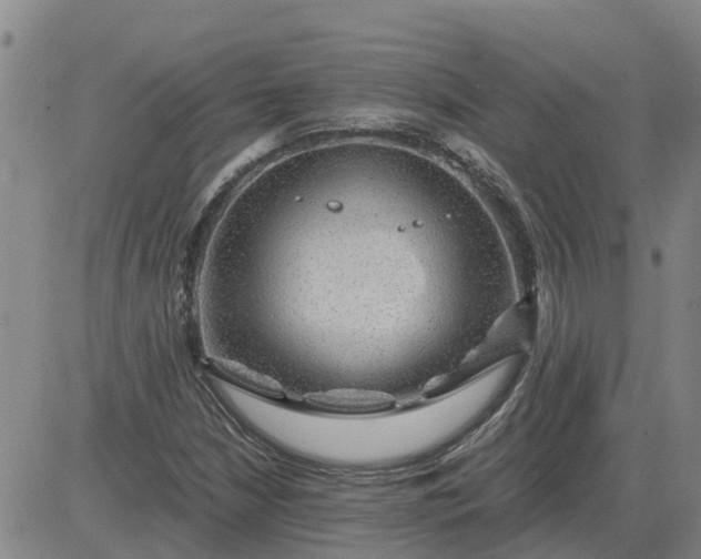 X0000084031210200703022114