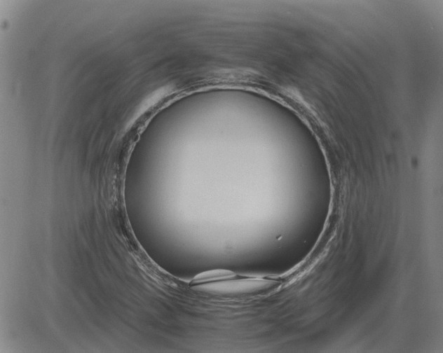 X0000084031211200703022114