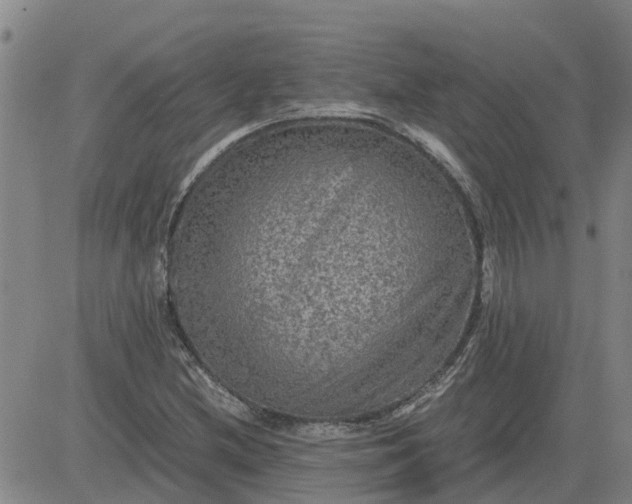 X0000084031212200703022114