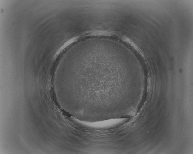 X0000084031213200703022114