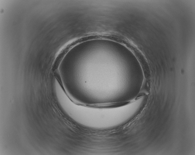 X0000084031214200703022114