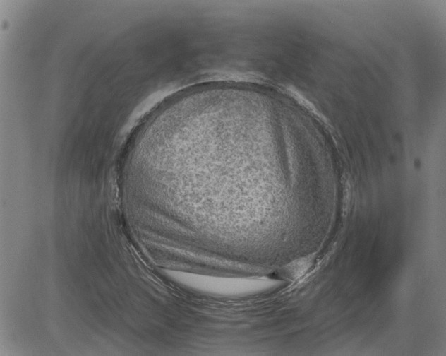 X0000084031215200703022114