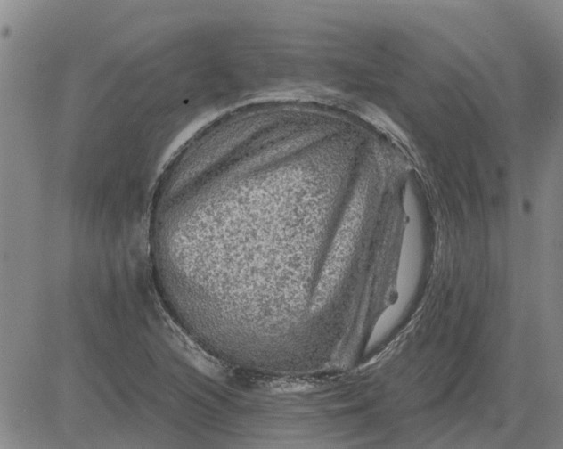 X0000084031216200703022114