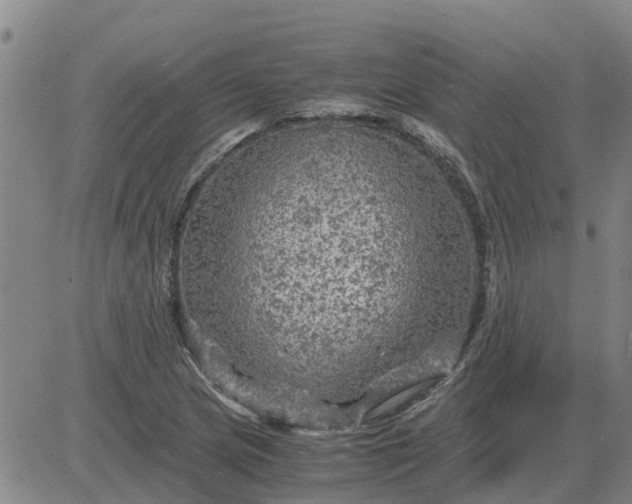 X0000084031217200703022114