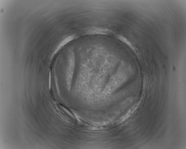 X0000084031219200703022114