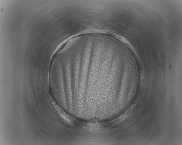 X0000084031220200703022114