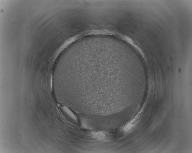 X0000084031221200703022114