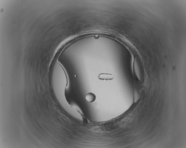 X0000084031222200703022114