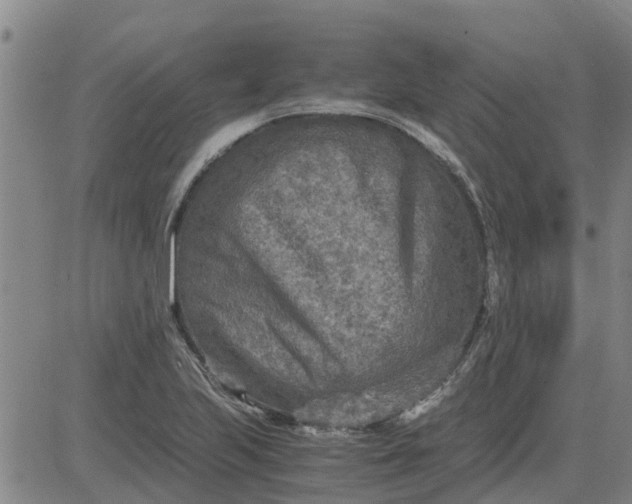 X0000084031223200703022114