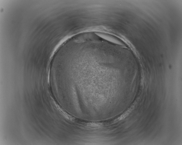 X0000084031224200703022114