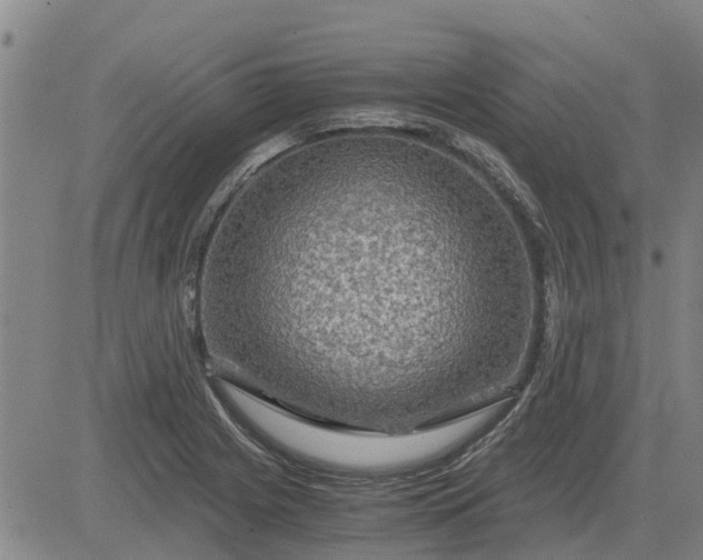 X0000084031225200703022114