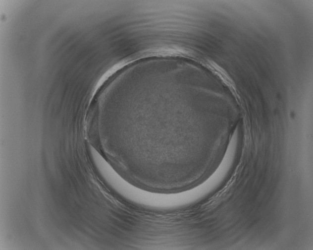 X0000084031226200703022114