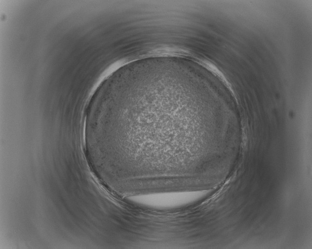 X0000084031227200703022114