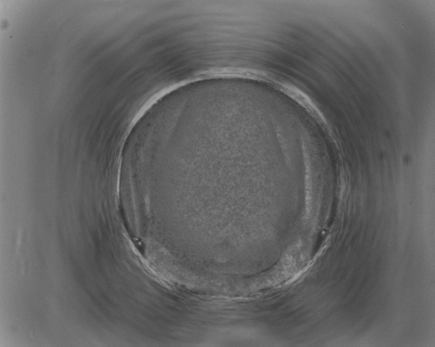 X0000084031228200703022114