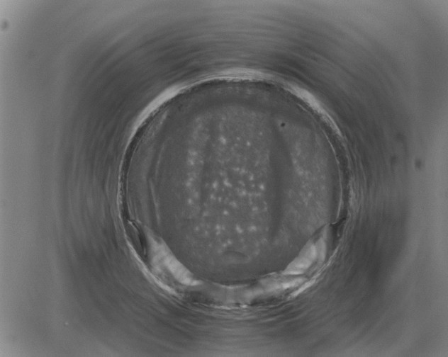 X0000084031229200703022114