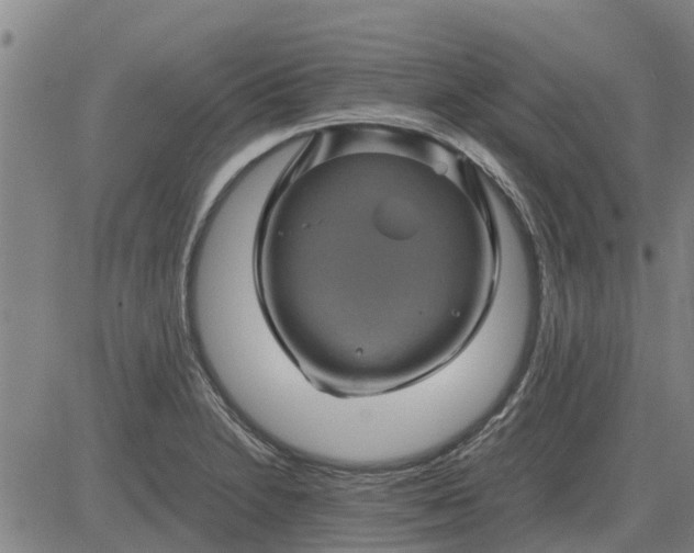 X0000084031230200703022114