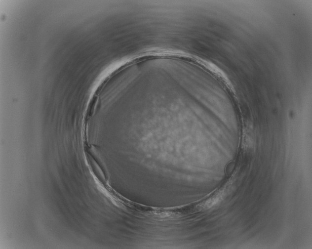 X0000084031231200703022114