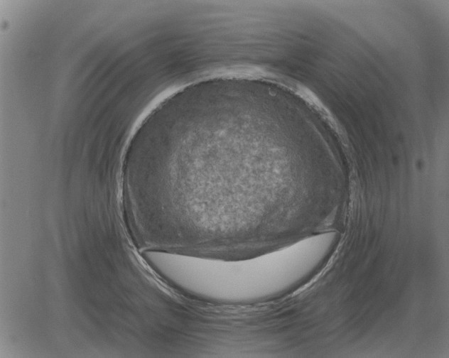 X0000084031232200703022114