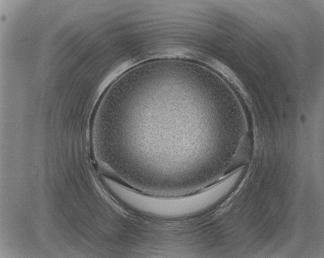 X0000084031234200703022114