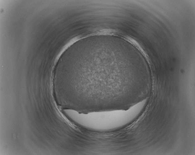 X0000084031235200703022114