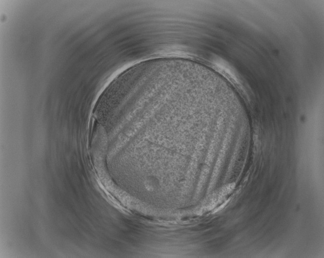 X0000084031236200703022114