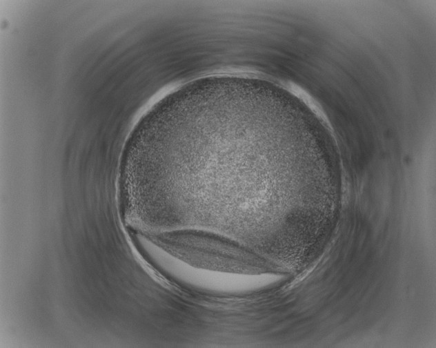 X0000084031237200703022114