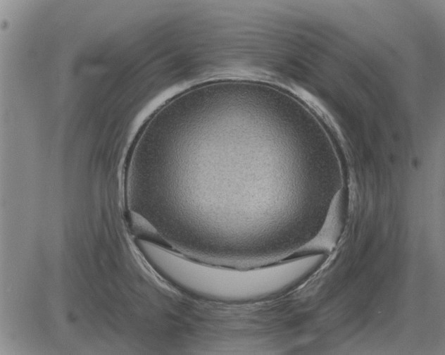 X0000084031238200703022114