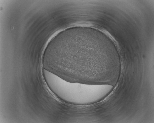 X0000084031240200703022114