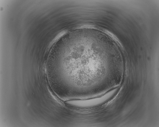 X0000084031241200703022114