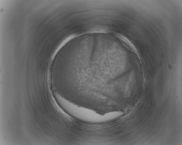 X0000084031243200703022114