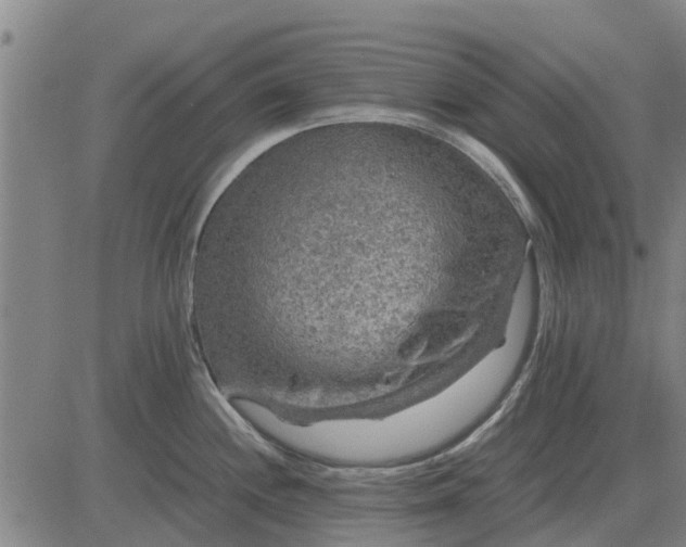 X0000084031244200703022114