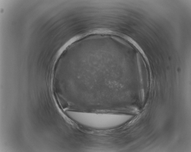 X0000084031245200703022114