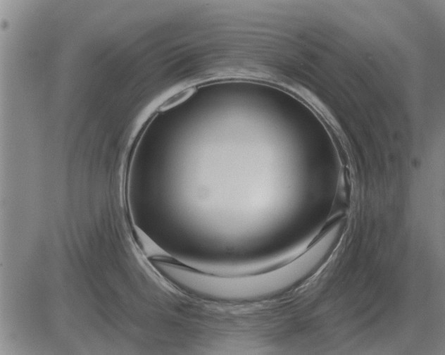 X0000084031246200703022114