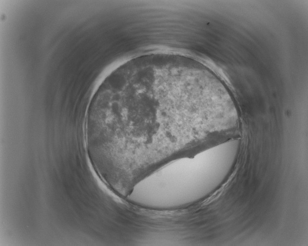 X0000084031247200703022114