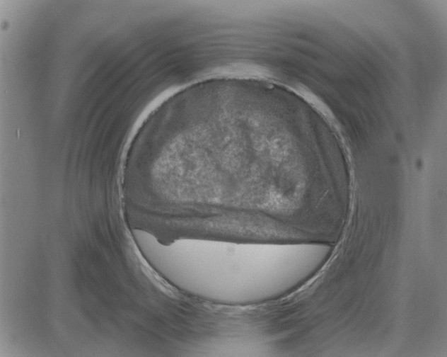 X0000084031248200703022114