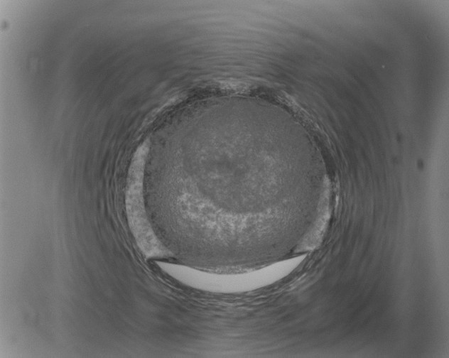 X0000084031249200703022114