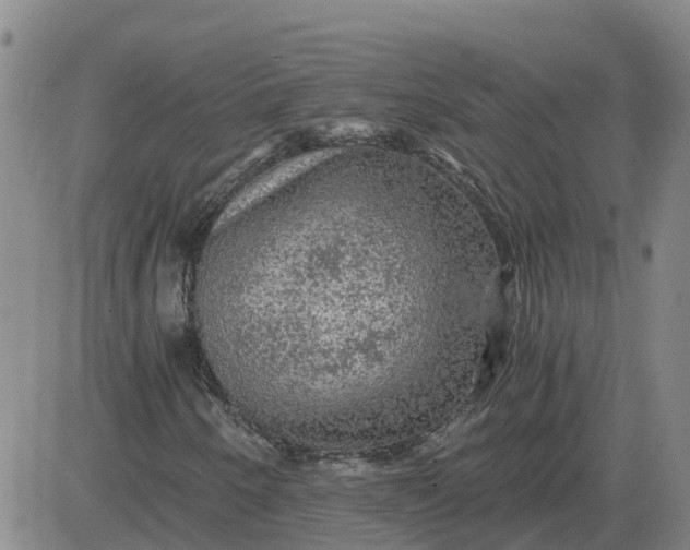 X0000084031250200703022114