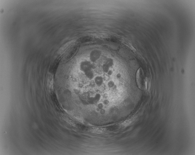 X0000084031251200703022113