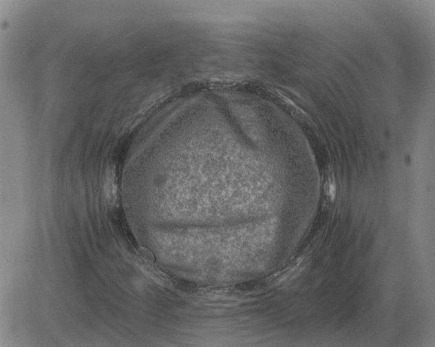 X0000084031252200703022113