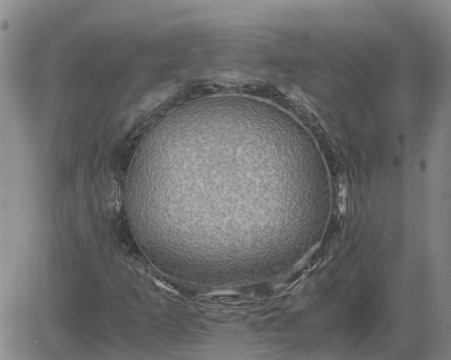 X0000084031253200703022113