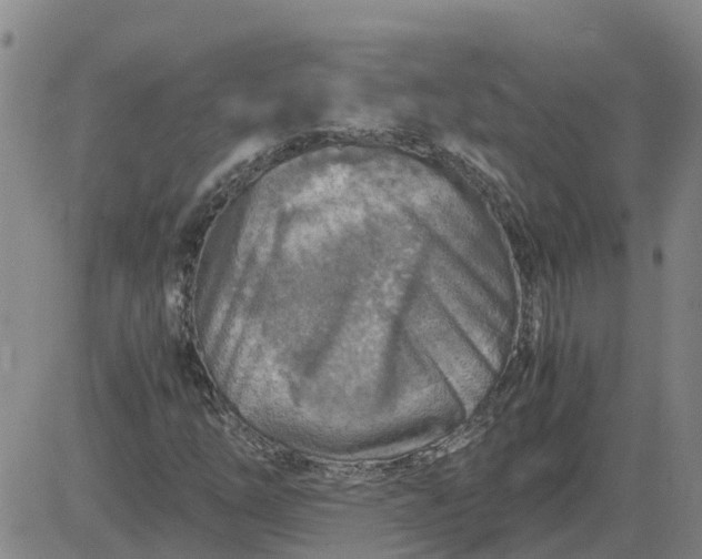 X0000084031254200703022113