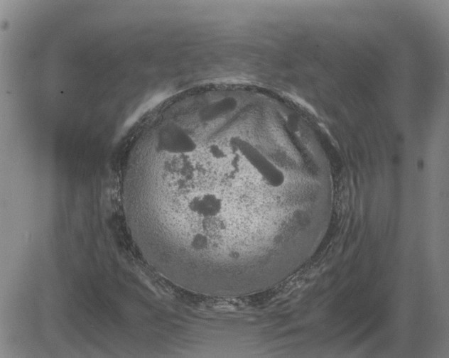 X0000084031255200703022113