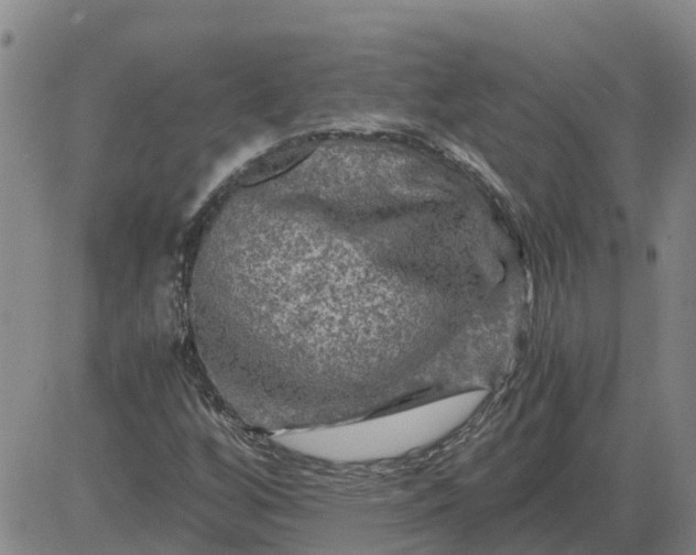 X0000084031256200703022113