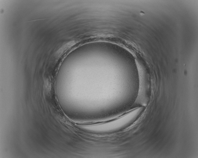 X0000084031257200703022113