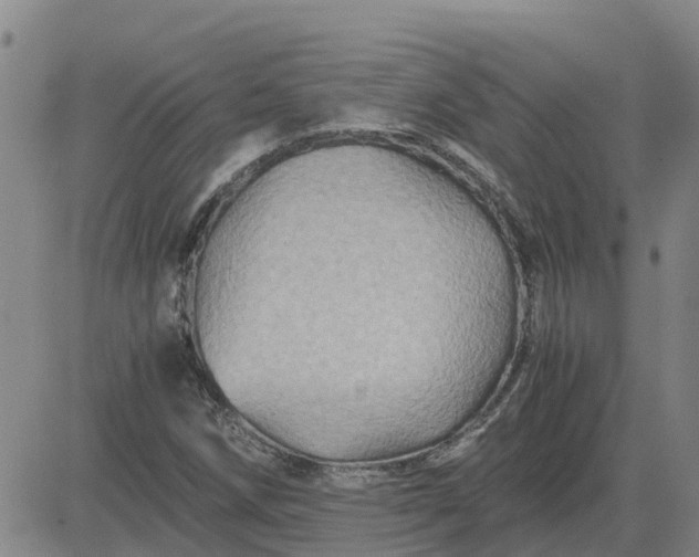 X0000084031258200703022113